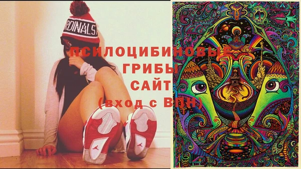 бутират Алзамай