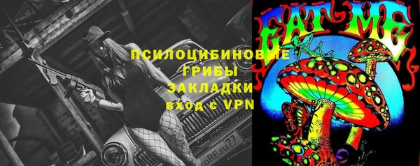 СК Алексеевка