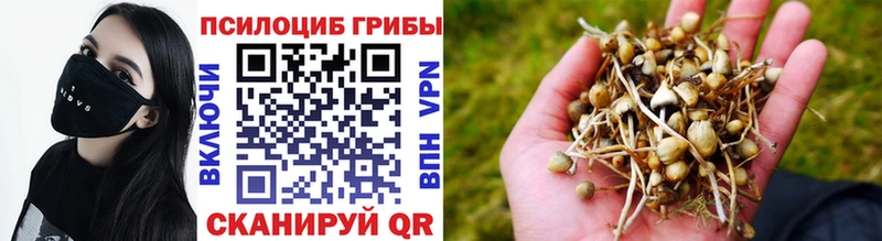 Псилоцибиновые грибы MAGIC MUSHROOMS  как найти закладки  Ревда 