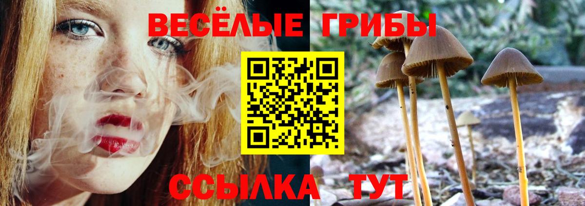 Ревда  Галлюциногенные грибы ЛСД  Вход с VPN 