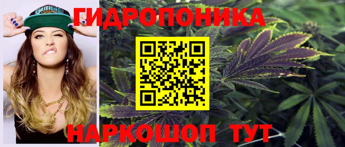Шишки марихуана OG Kush  Вход с VPN  Марихуана Amnesia  Конопля AK-47  Ревда 